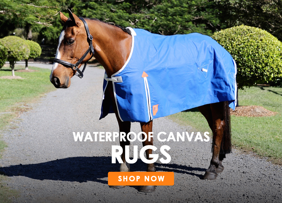 Canvas Rugs 