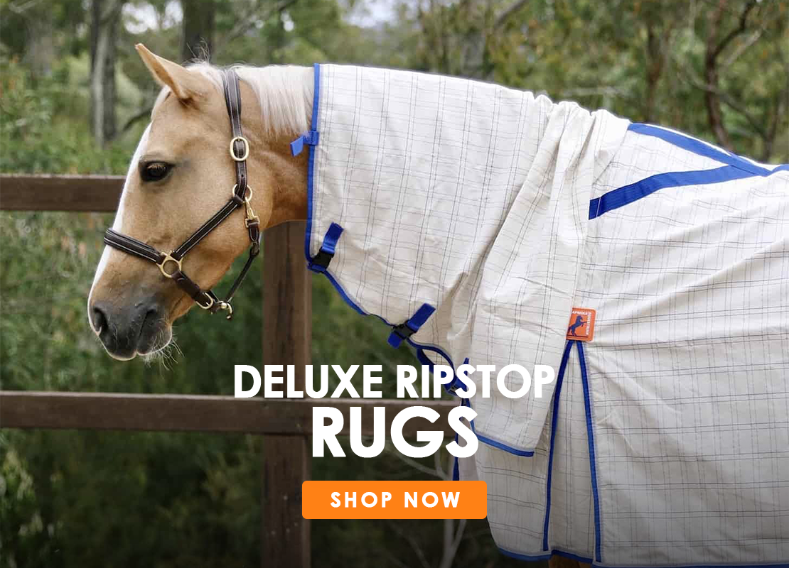 Deluxe Summer Rugs 